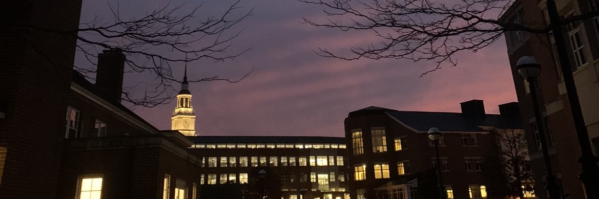 Erica Townsend banner