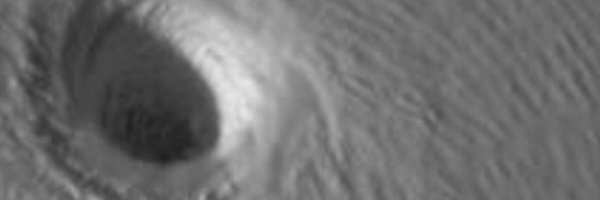 Parungo2 Profile Banner