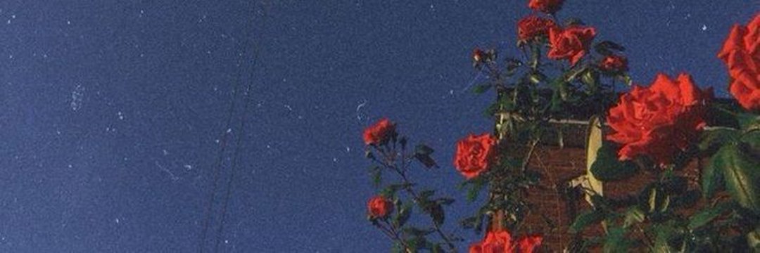 ad_breenda's profile banner image