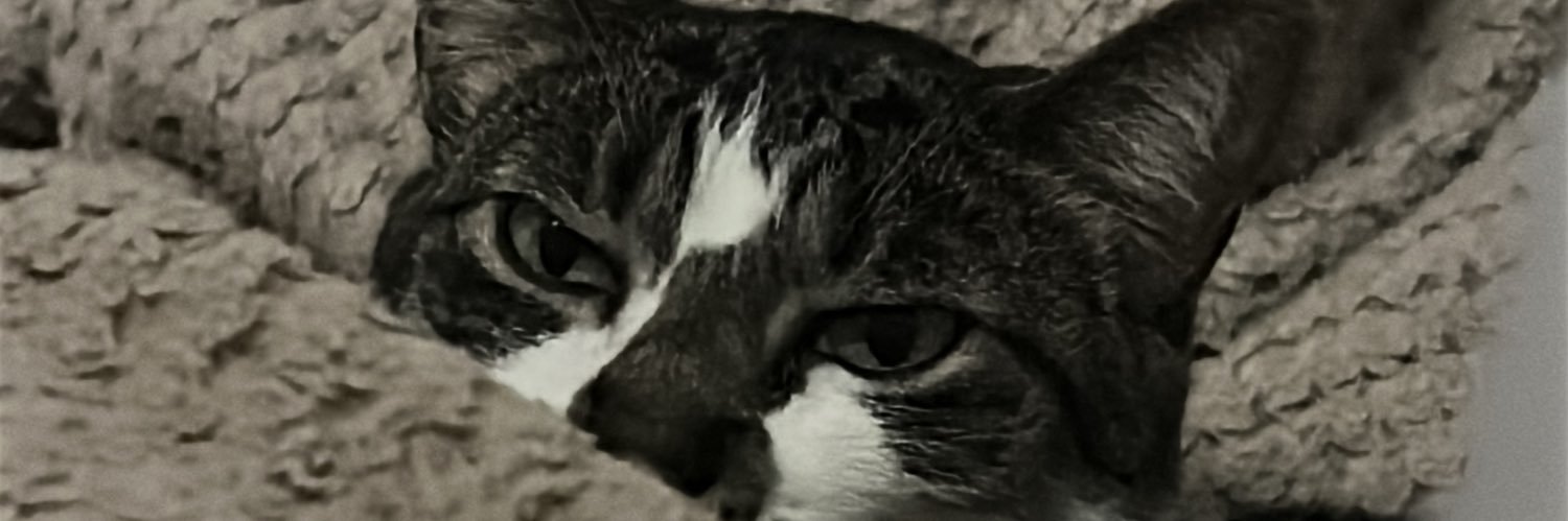delefratte's profile banner image