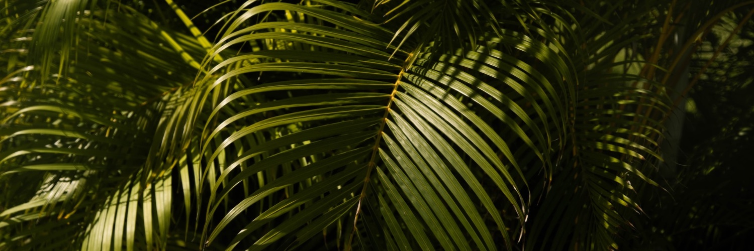 jesusfranco's profile banner image