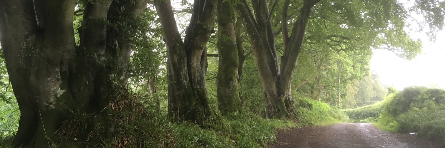 irv309's profile banner image