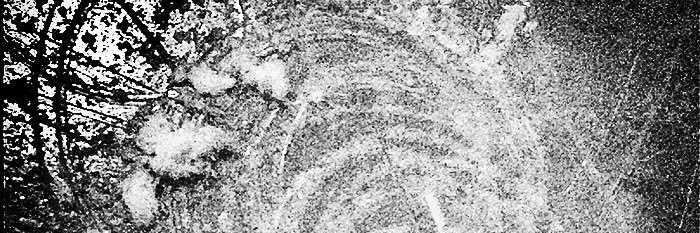 jenniferpaske's profile banner image