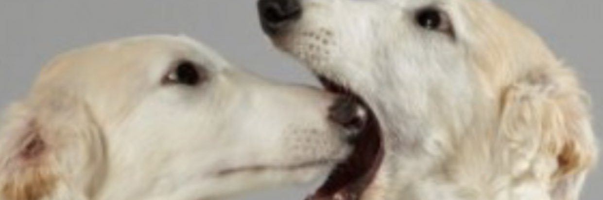skip banner