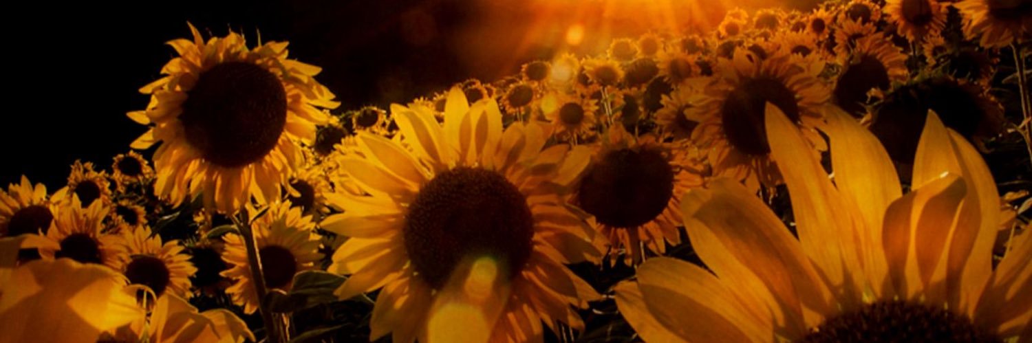 timeshaaaa's profile banner image