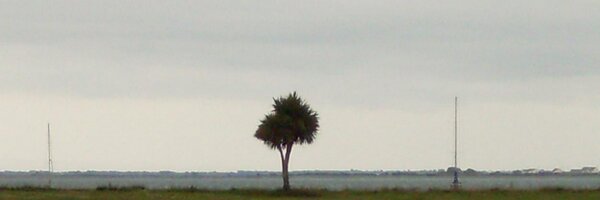 EdoGaticon Profile Banner