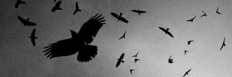 dkSociopath's profile banner image