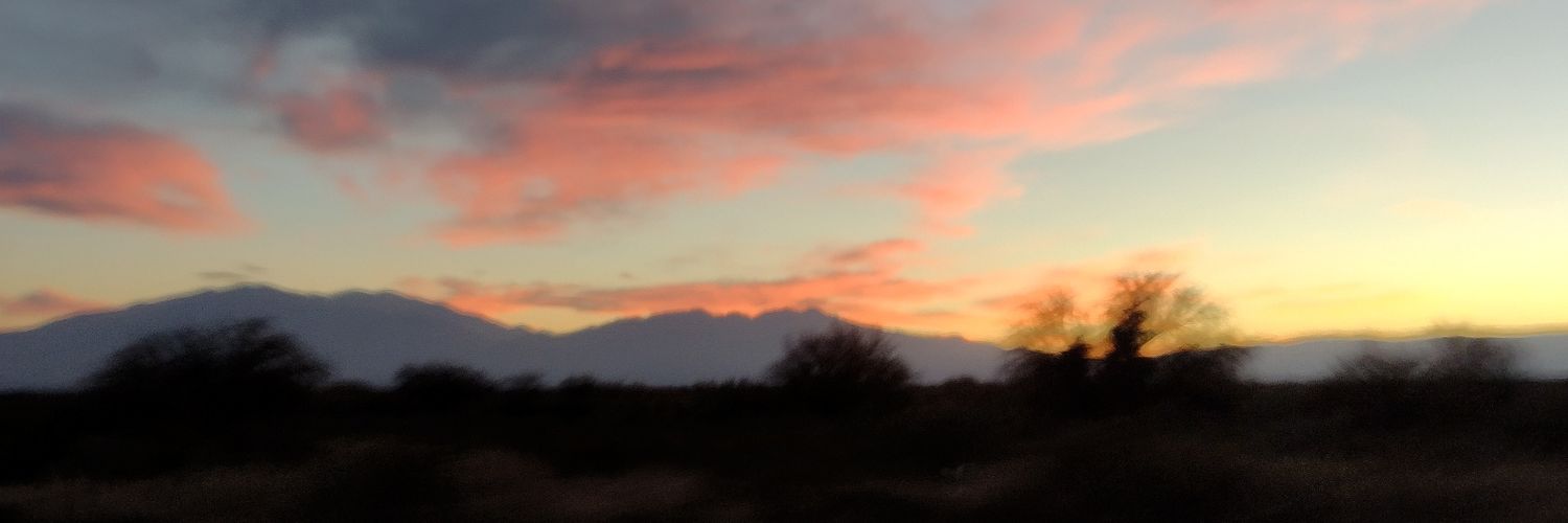 luupina_'s profile banner image