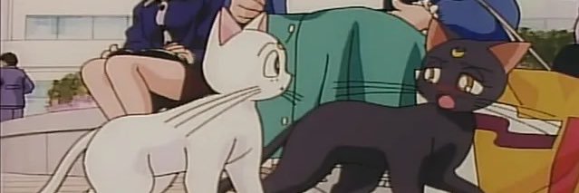 ThePAWstas's profile banner image