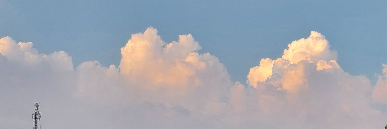 Adel_Adelaide's profile banner image