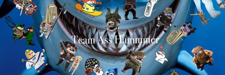 Raccoon Craft Fella's banner