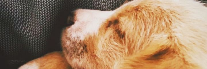 2Poxajenny's profile banner image