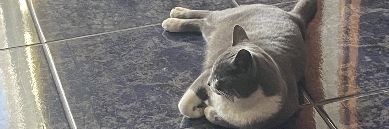 Jovi 💜 banner