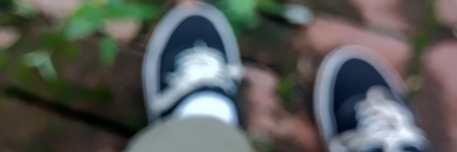 luccarolina_'s profile banner image