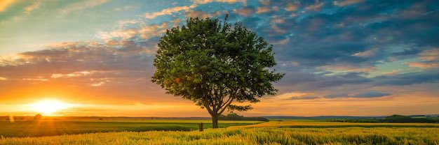 भावुक~~The Emotional🕉️ banner