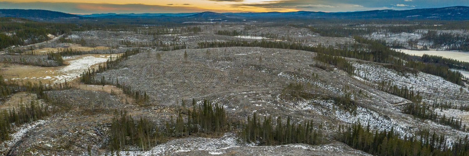 Marcus Westberg Photography banner