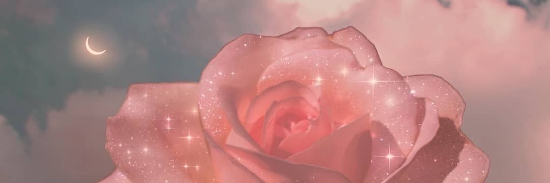 natty_cris's profile banner image