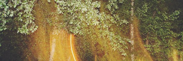 RyanSilver Profile Banner