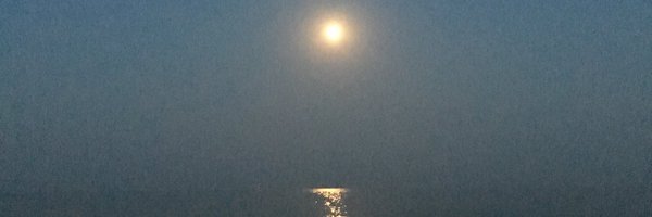 BiserMarkov Profile Banner