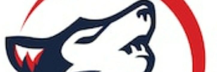 Retired Retro Howlers banner
