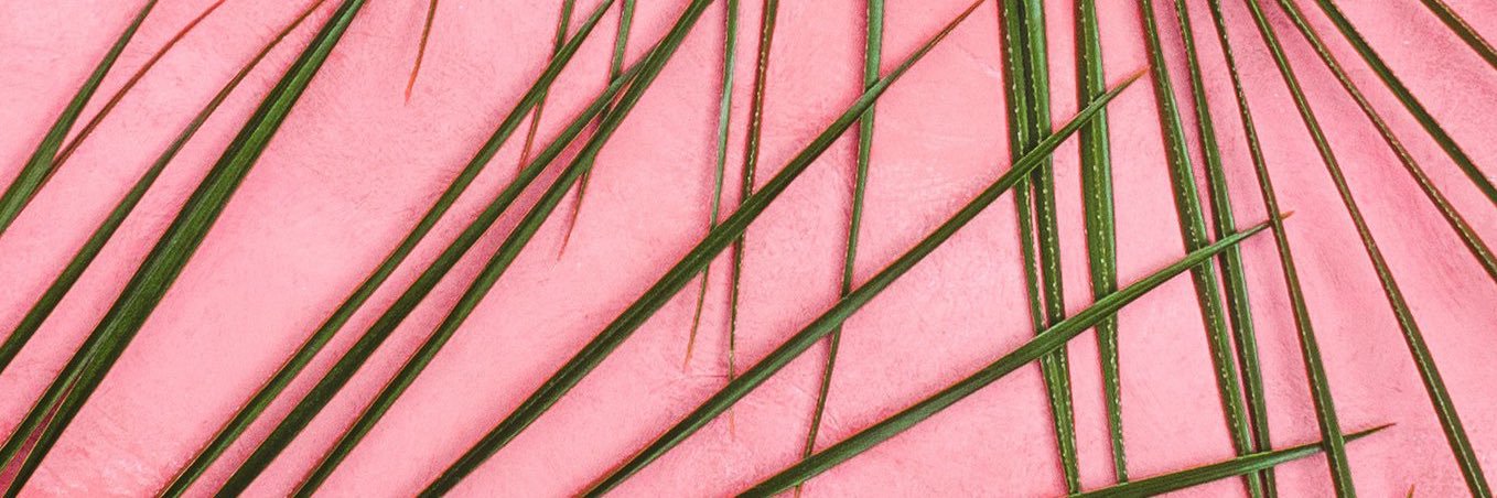 caroogonzalez's profile banner image