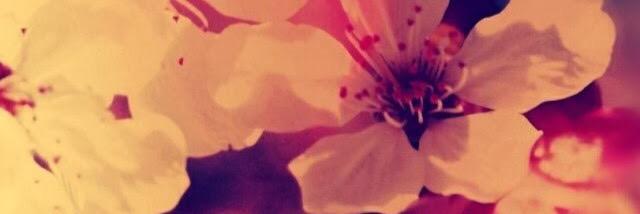 cath_nath's profile banner image