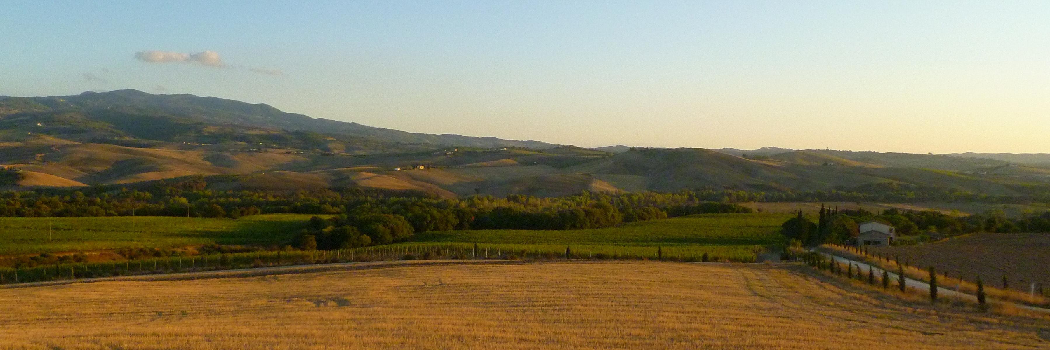 Col d'Orcia banner