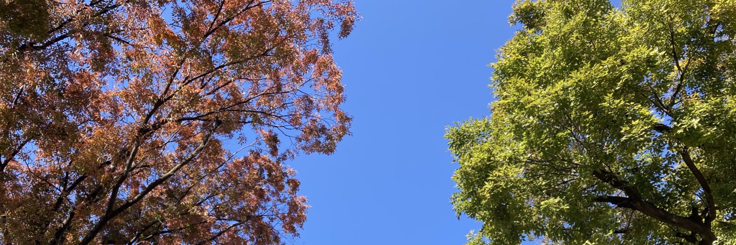 だい banner