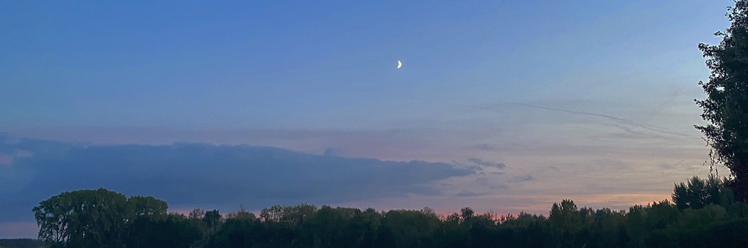 baelisa__'s profile banner image