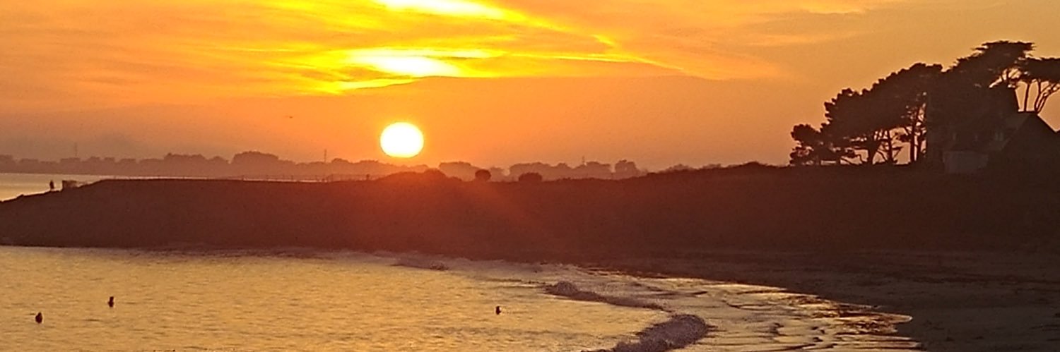 Guillaume Bouin banner