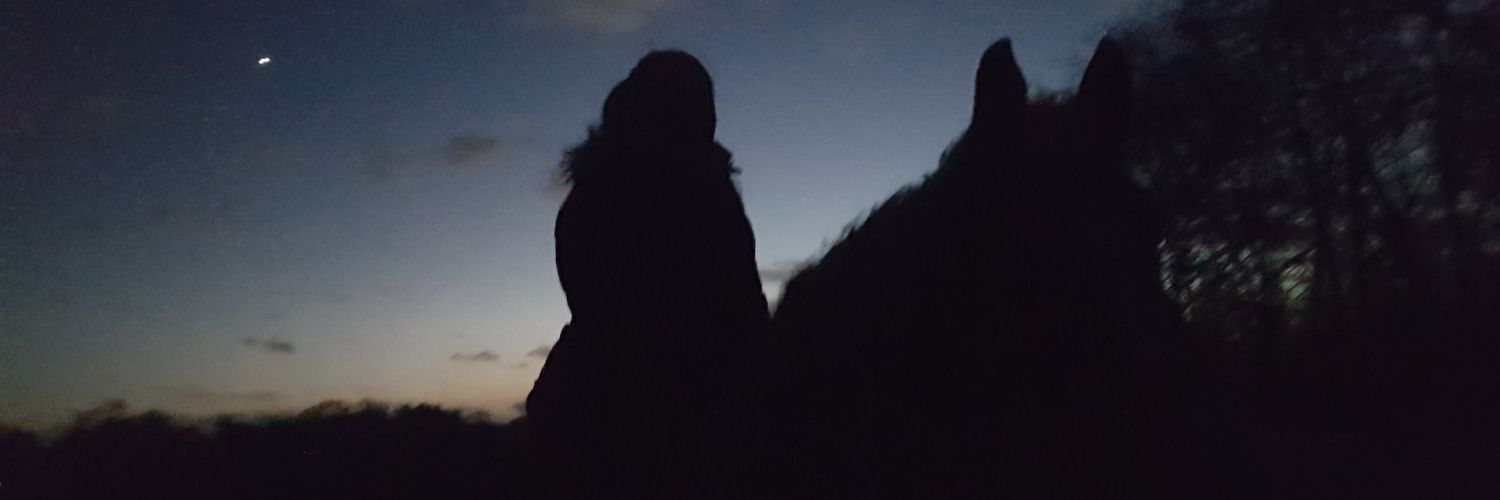 FenjaStoff's profile banner image