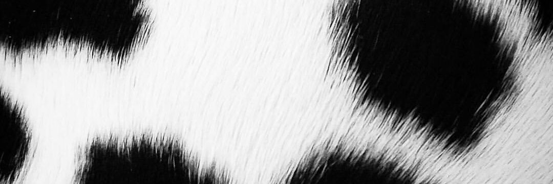 Lisa8lam's profile banner image
