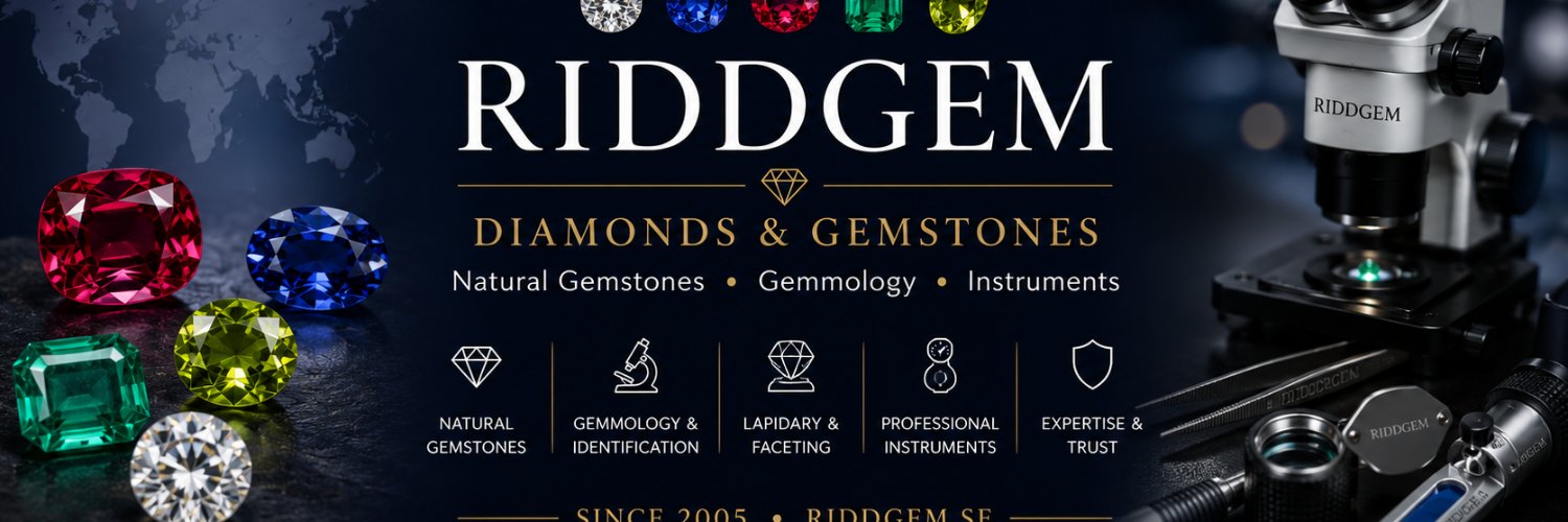 riddgem's profile banner image
