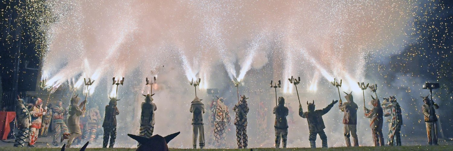 Diari de Reus banner