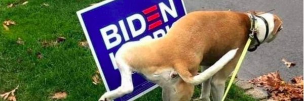 sandylg3809 Profile Banner