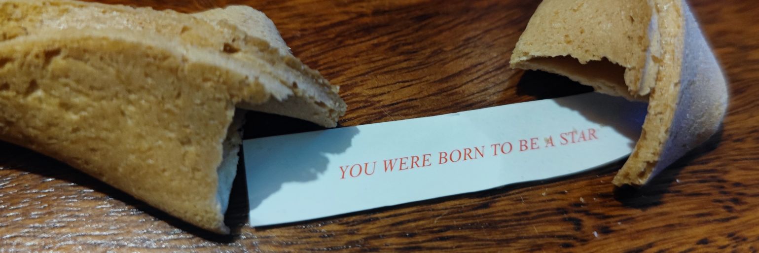 Michael Lloyd banner