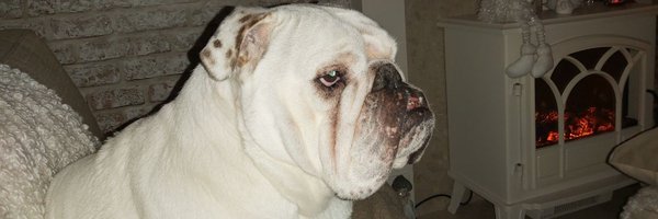 Michell11234651 Profile Banner