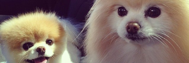 MariaStumorang's profile banner image