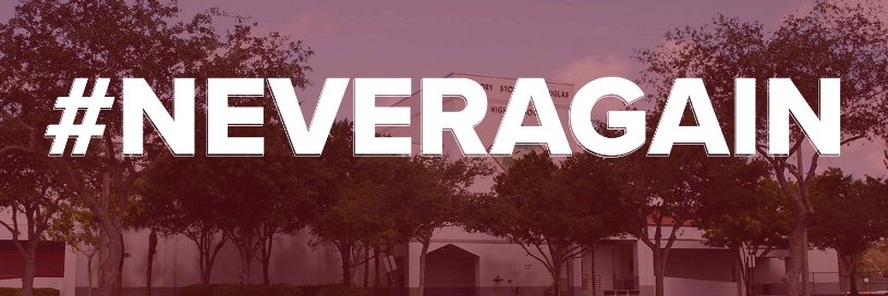 Never Again's banner