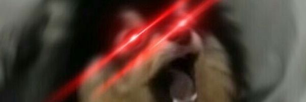 ssimbaaaa's profile banner image