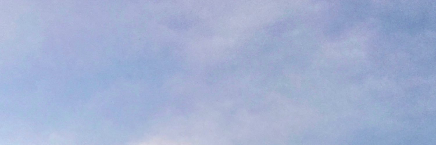 P Story banner