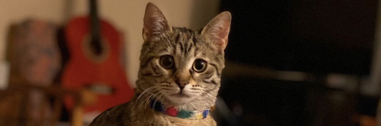 Disconnectus Erectus banner