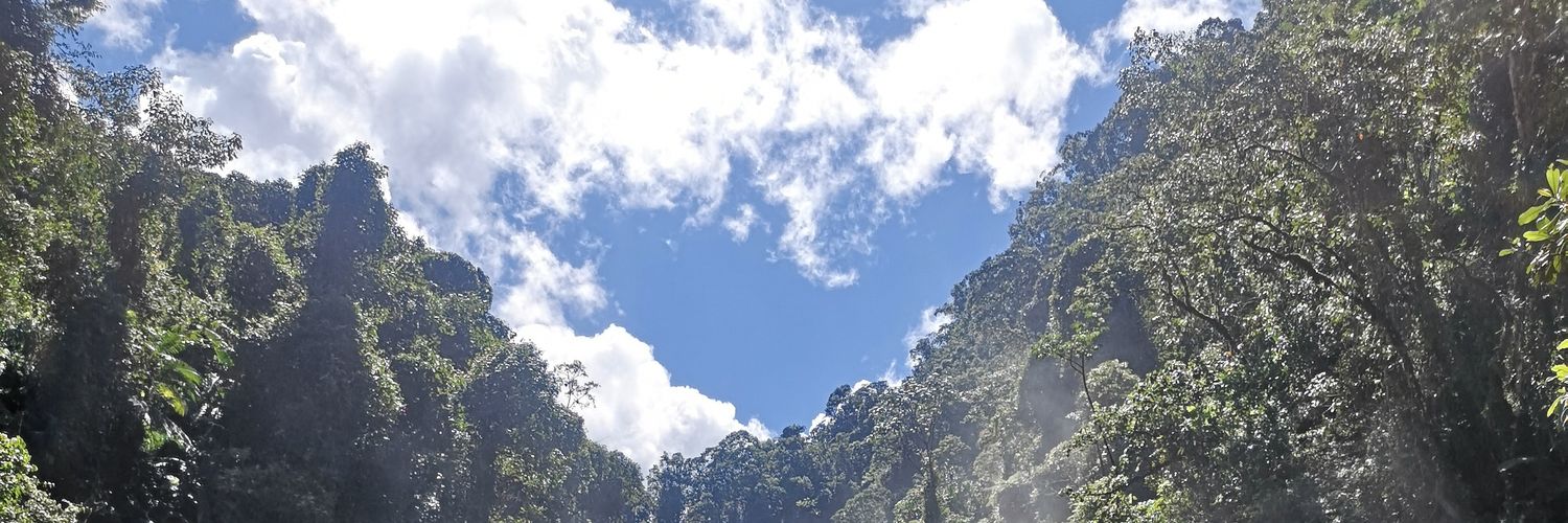 MariaJoseGomezV's profile banner image