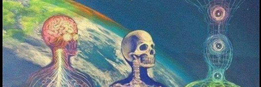 chiquidiaz17's profile banner image