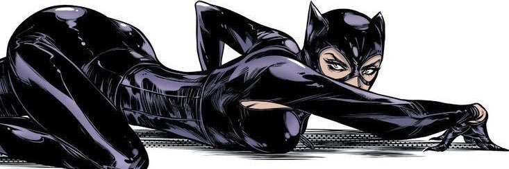 cat woman's banner