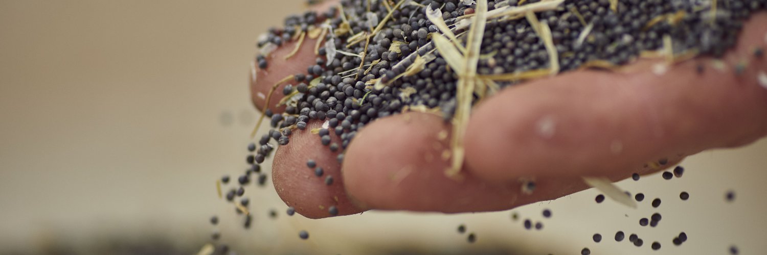 SeedSovereigntyUkIreland banner