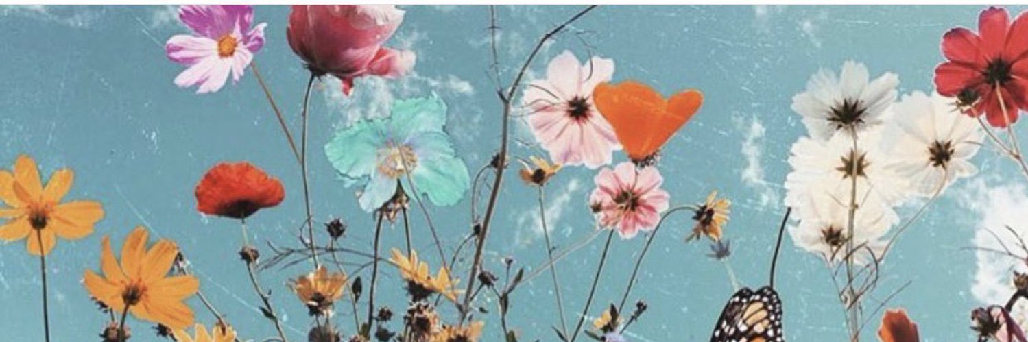 SarahBowBeara's profile banner image