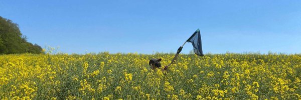 tonks_aimee Profile Banner