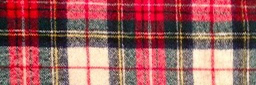 Matthew Pegula banner