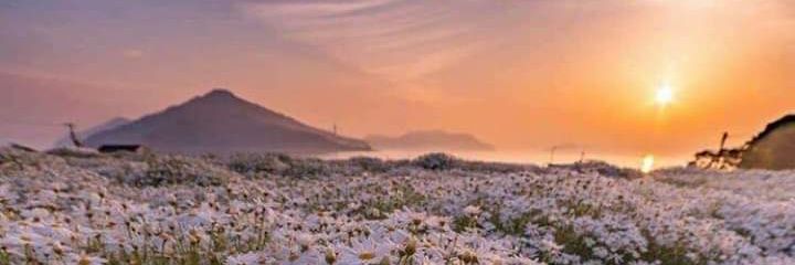 SyavanyPuspa's profile banner image
